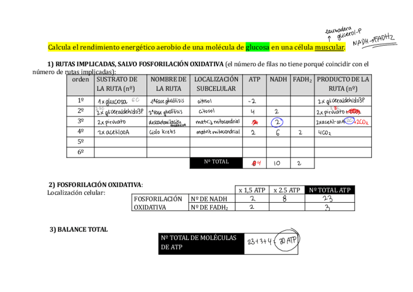 Miniatura del documento Problemas-MyR-2020-2021.pdf