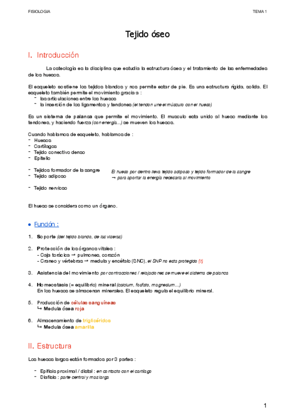 Miniatura del documento Hueso.pdf