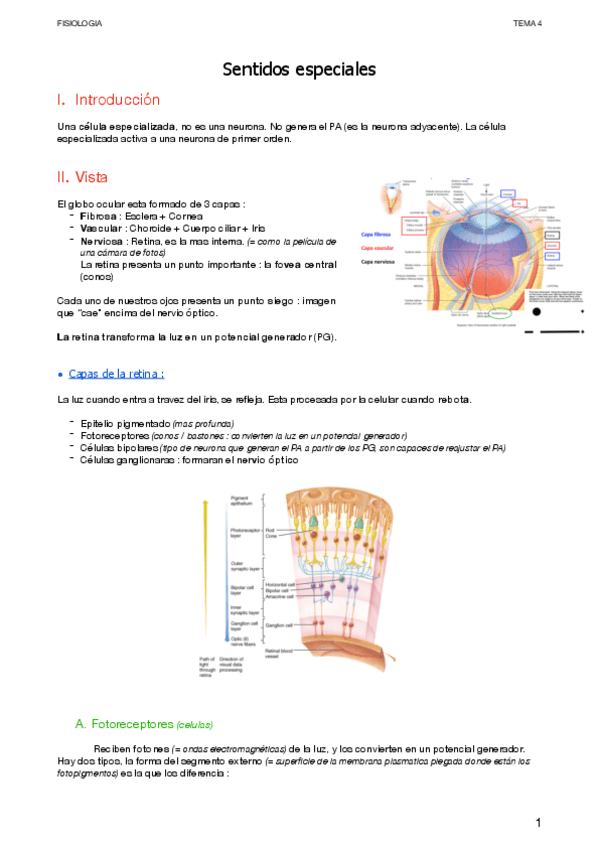 Miniatura del documento Sentidos-especiales.pdf