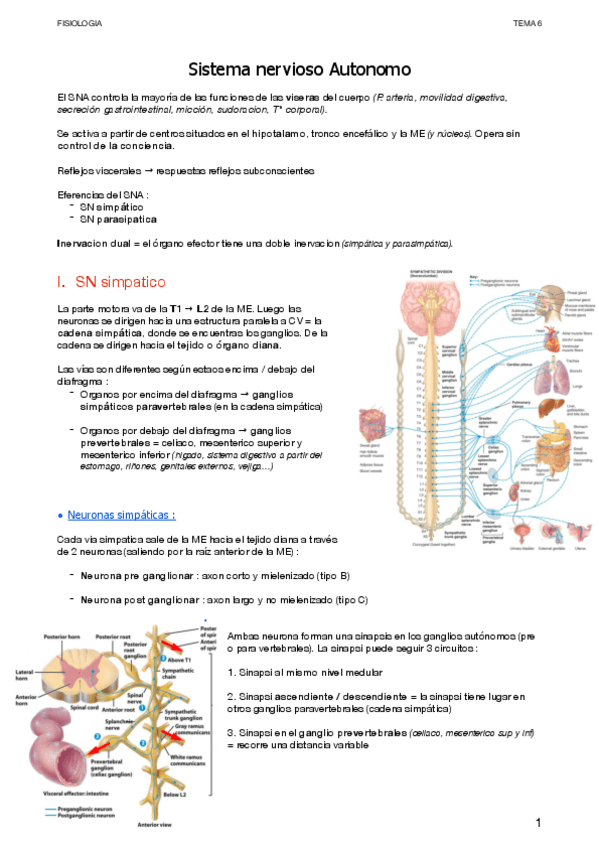 Miniatura del documento SNA.pdf
