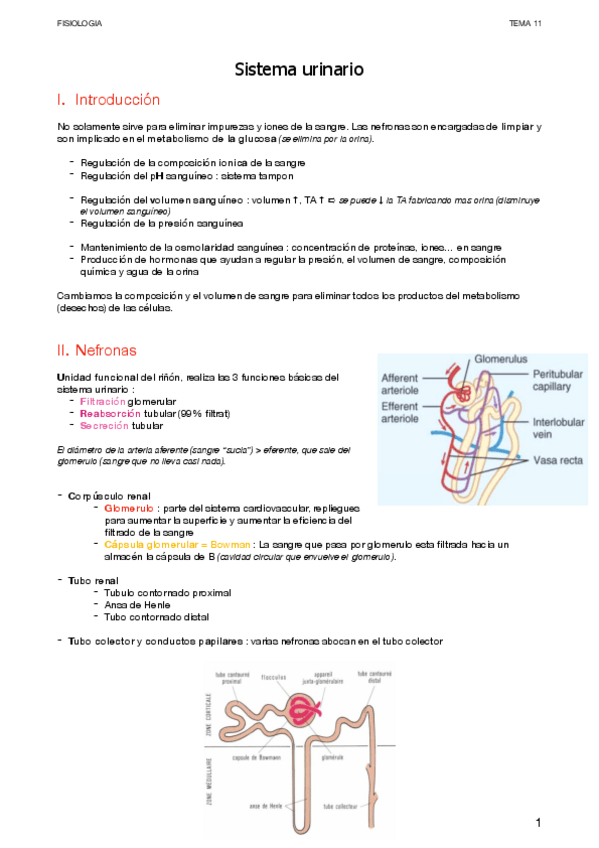 Miniatura del documento Urinario.pdf
