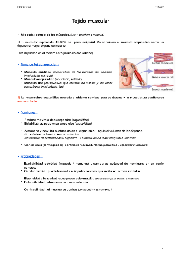 Miniatura del documento Musculos.pdf