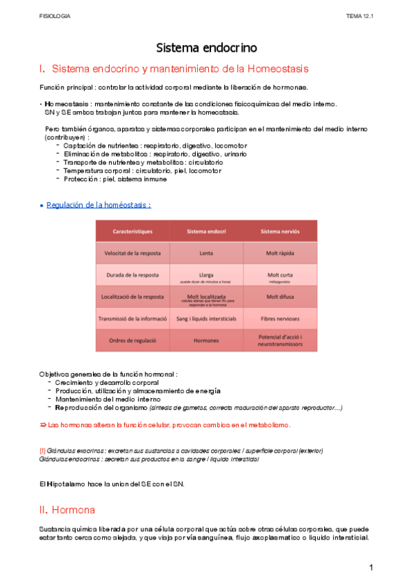 Miniatura del documento Endocrino.pdf