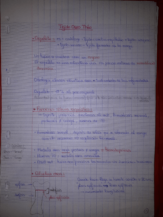 Miniatura del documento 1-HUESO.pdf