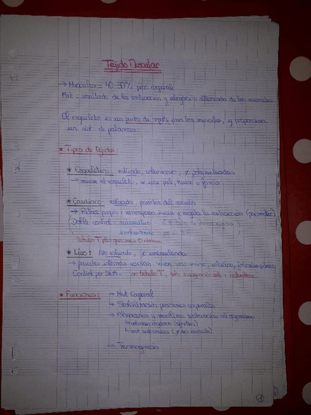 Miniatura del documento 2-MUSCULAR.pdf