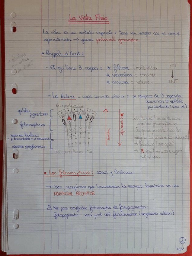 Miniatura del documento 8-SENTIDOS-ESPECIALES.pdf