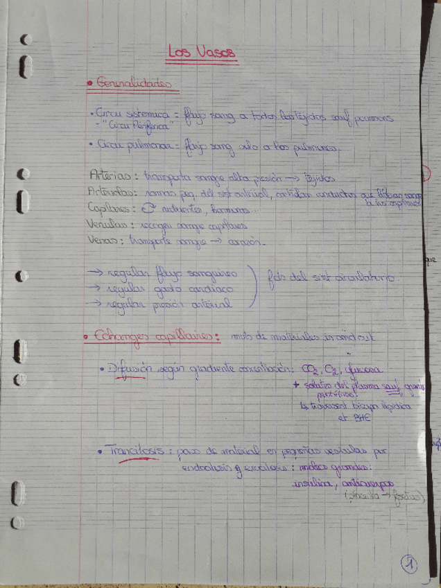 Miniatura del documento 9a-VASOS.pdf