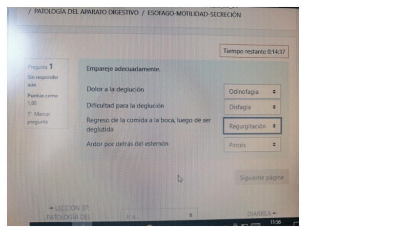 Miniatura del documento ESOFAGO-MOTILIDAD-SECRECION-2022-2023.pdf