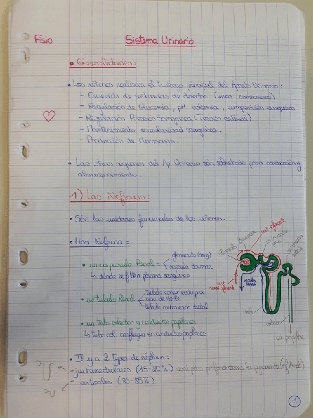 Miniatura del documento 14-URINARIO.pdf