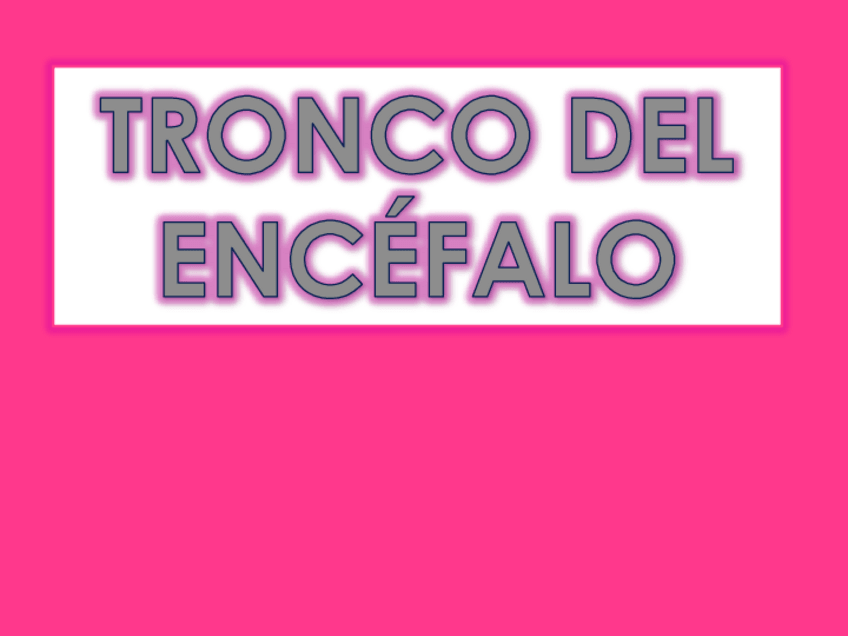 Miniatura del documento 2-TRONCOENCEFALO.pdf
