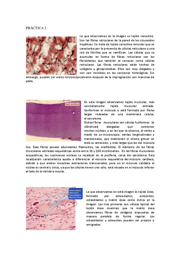 Miniatura del documento Practica-3.pdf