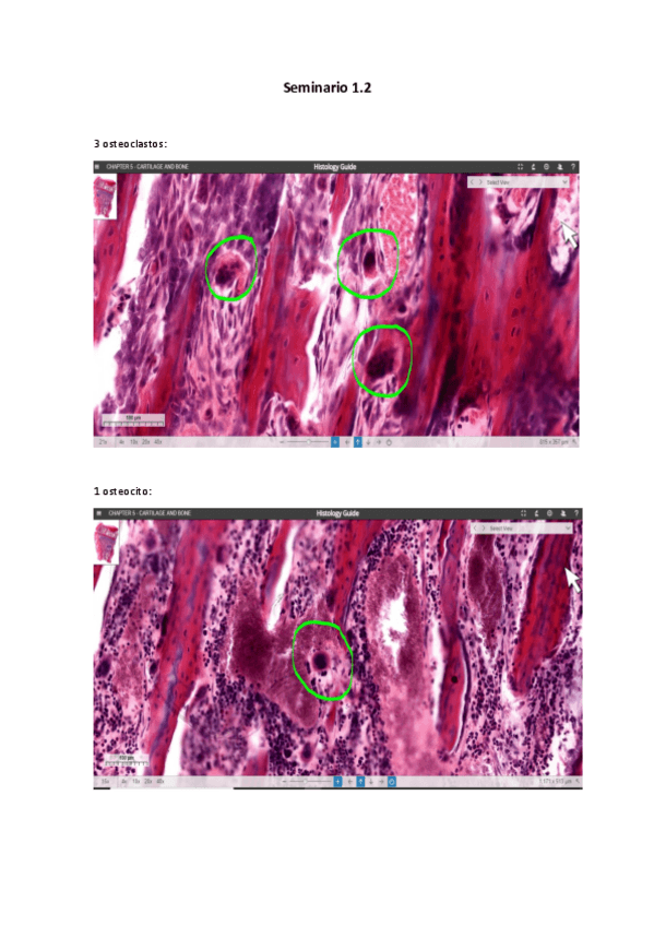 Miniatura del documento Seminario-1.2.pdf