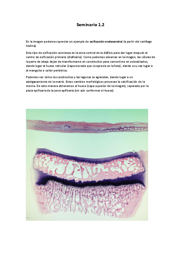 Miniatura del documento Seminario-1.pdf