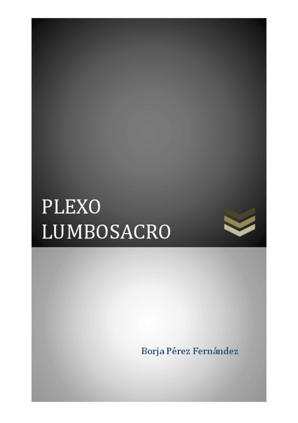Miniatura del documento PLEXO-LUMBOSACRO-resumen.pdf