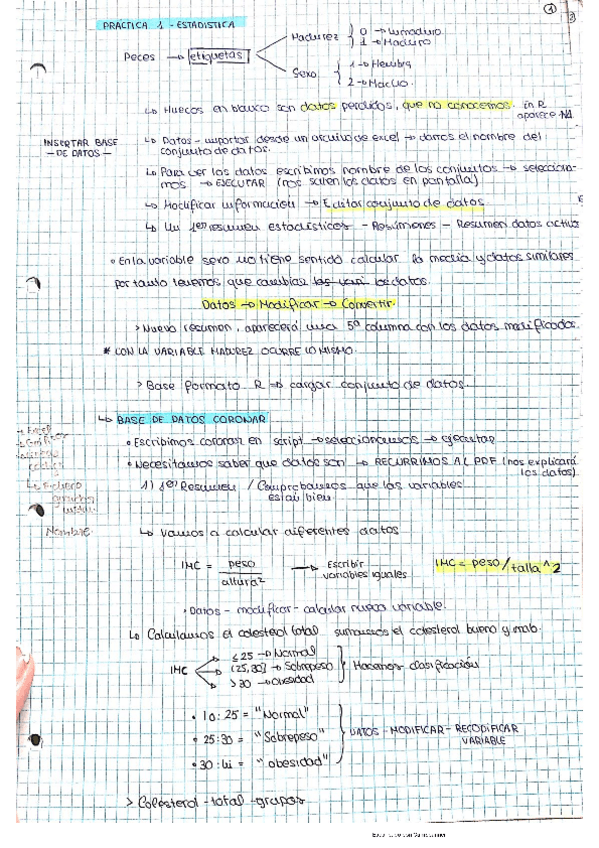 Miniatura del documento apuntes-practicas-de-estadistica.pdf