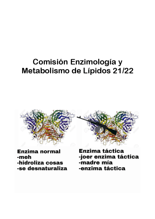 Miniatura del documento Bioquimica-Comision-Enzimologia-y-Metabolismo-Lipidos-21-22.pdf