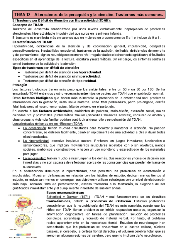 Miniatura del documento T12-Percepcion-y-Atencion.pdf