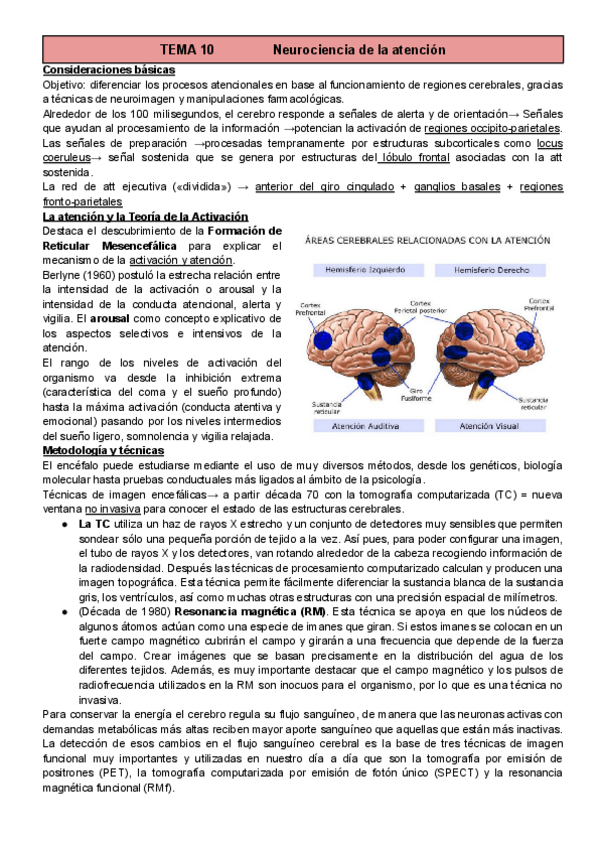 Miniatura del documento T10-Percepcion-y-Atencion.pdf