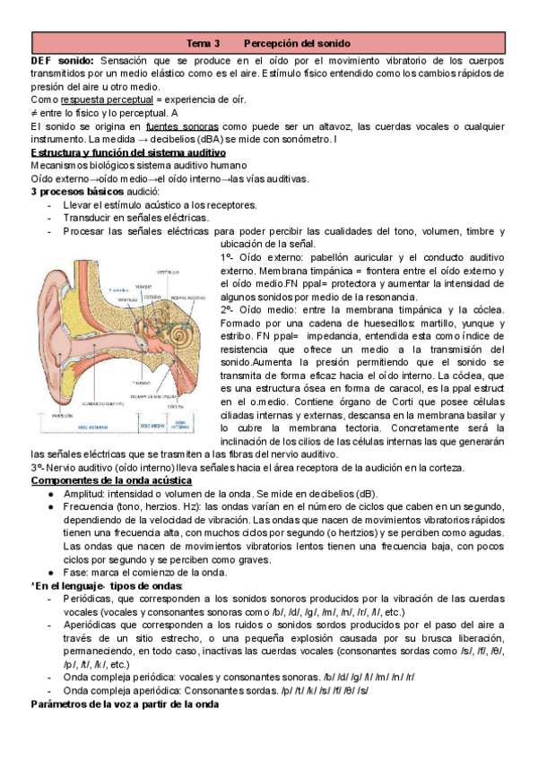 Miniatura del documento T3-Percepcion-y-Atencion.pdf