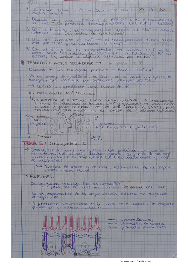 Miniatura del documento TEMAS-6-11.pdf