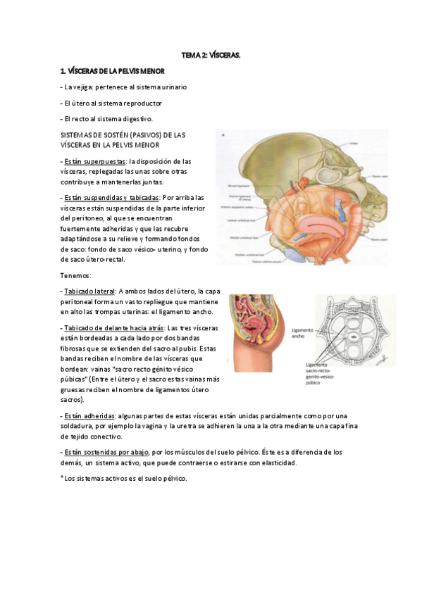 Miniatura del documento TEMA-2.pdf