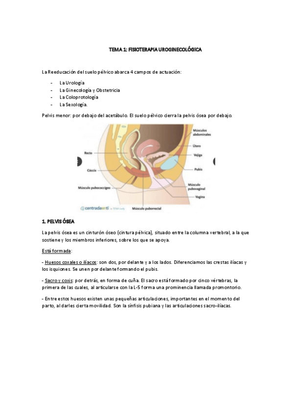 Miniatura del documento TEMA-1.pdf