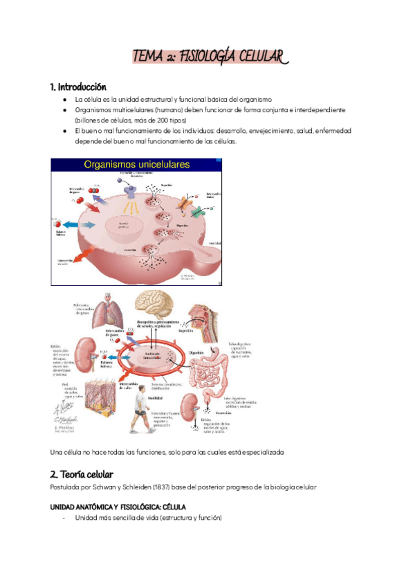 Miniatura del documento TEMA-2-FISIOLOGIA-CELULAR.pdf