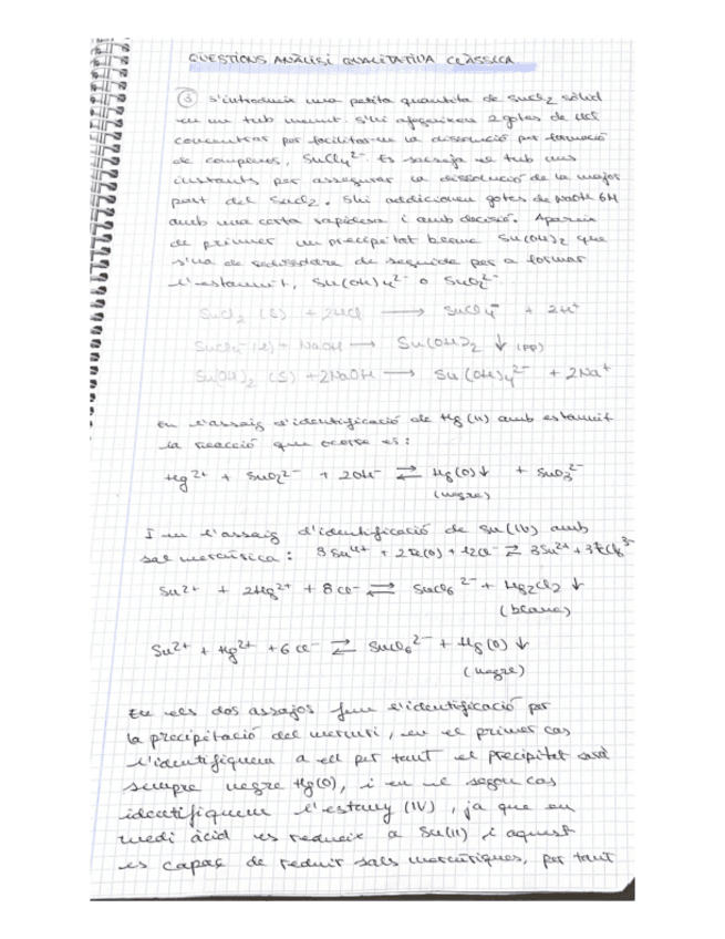 Miniatura del documento cuestiones-analisi-cualitativo.pdf