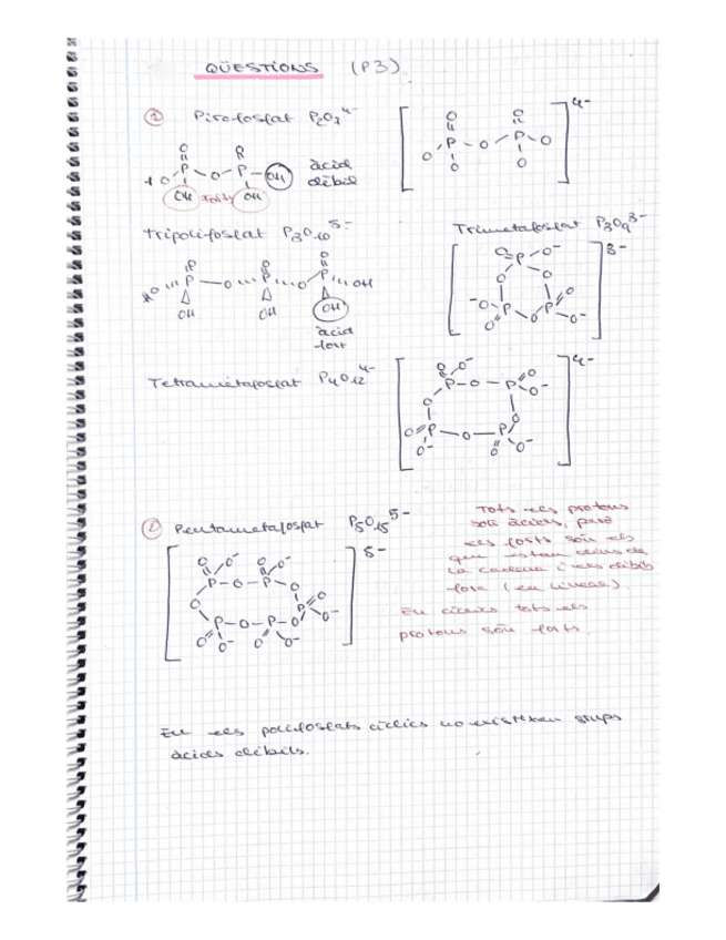 Miniatura del documento CUESTIONES-P3.pdf