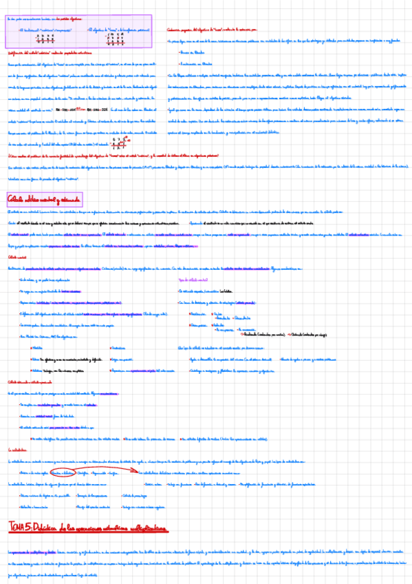 Miniatura del documento Didactica-De-La-Aritmetica-Tema-5.pdf