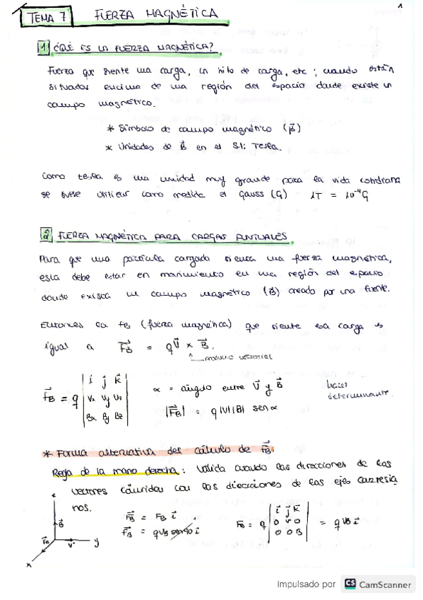 Miniatura del documento T7.-fuerza-magnetica.pdf