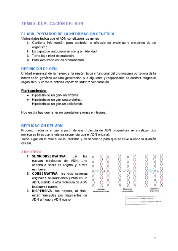 Miniatura del documento TEMA-8-DUPLICACION-DEL-ADN.pdf