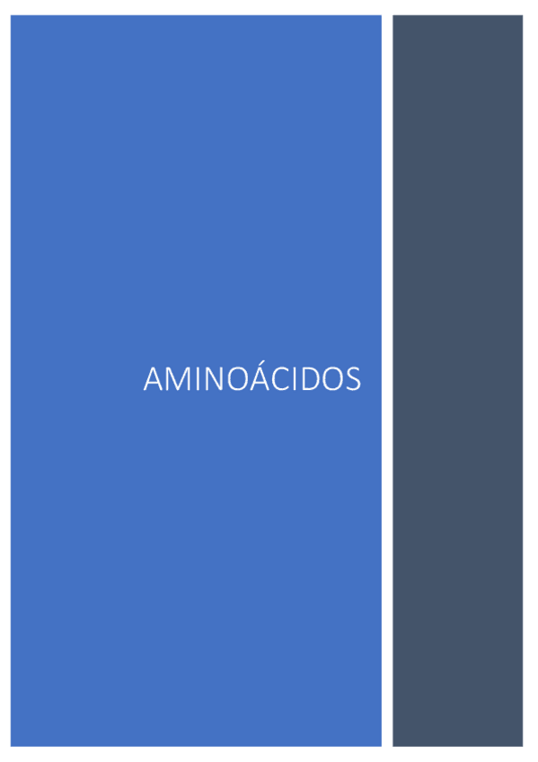 Miniatura del documento Tema-3-Los-Aminoacidos.pdf