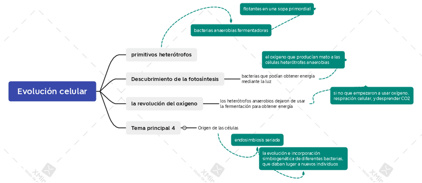 Miniatura del documento Evolucion-celular.pdf