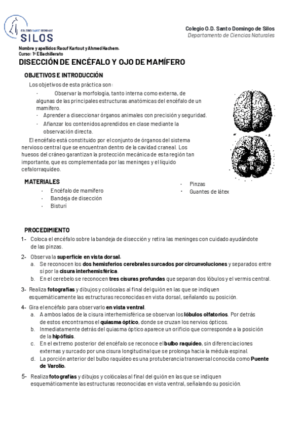Miniatura del documento Practicas-1oBach-Anatomia-Encefalo21.22.docx.pdf