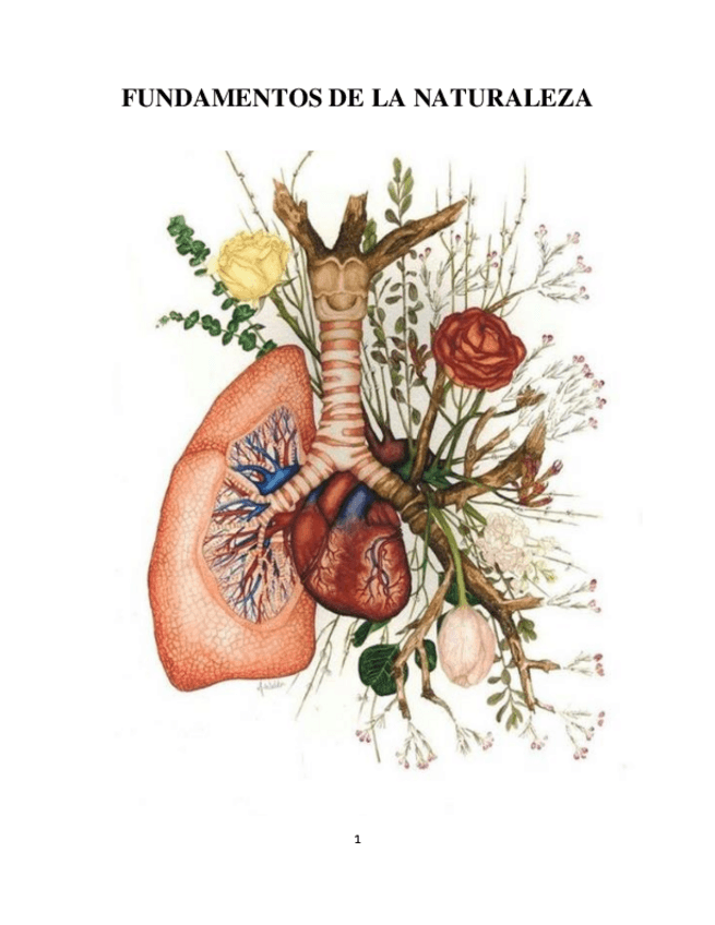 Miniatura del documento Tema-1.pdf