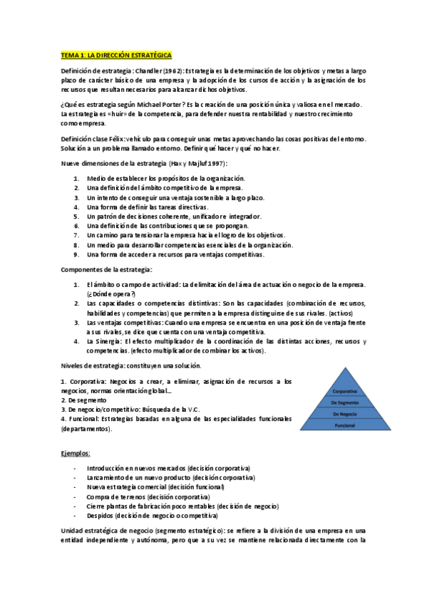Miniatura del documento RESUMEN-DIR.-ESTRATEGICA.pdf