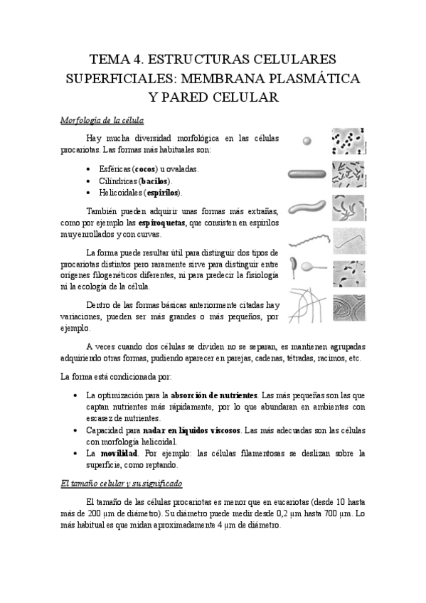 Miniatura del documento tema 4.pdf