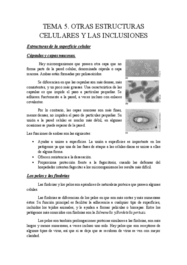 Miniatura del documento tema 5.pdf