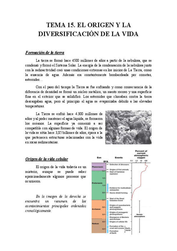 Miniatura del documento tema 15.pdf