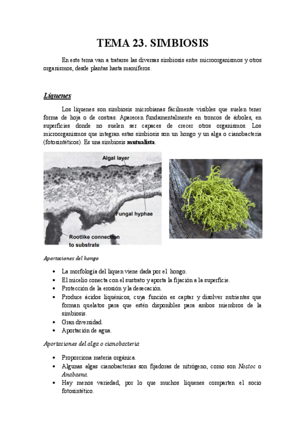 Miniatura del documento tema 23.pdf