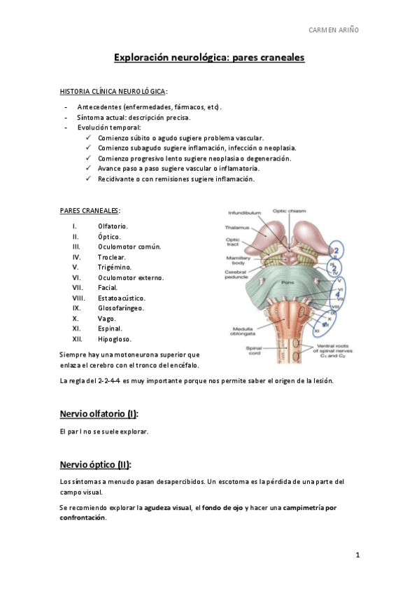 Miniatura del documento Exploración neurológica PARES CRANEALES.pdf