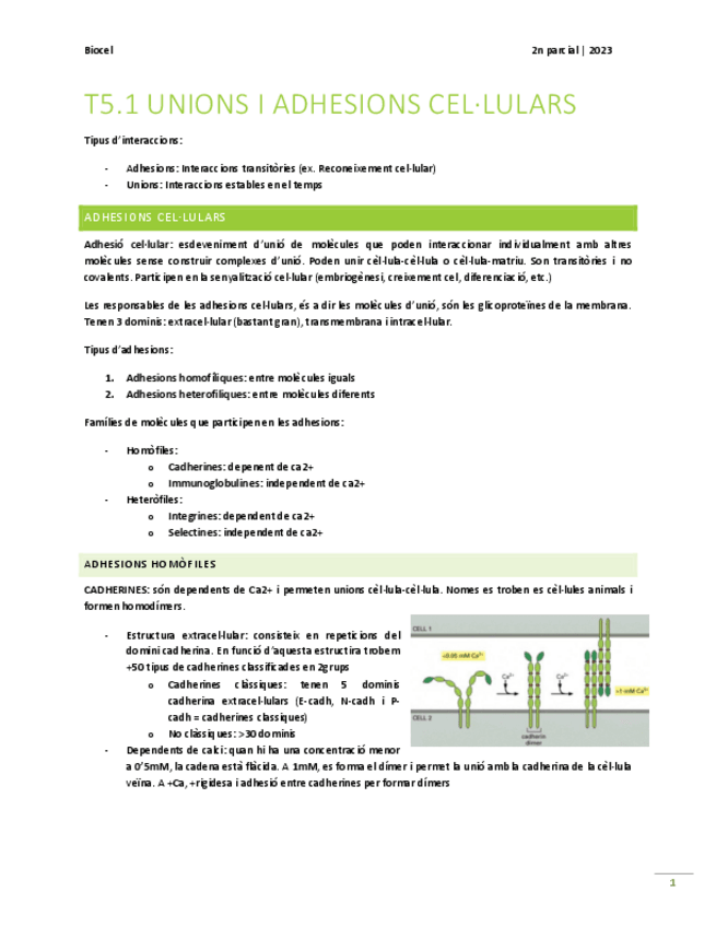 Miniatura del documento unions i adhesions.pdf