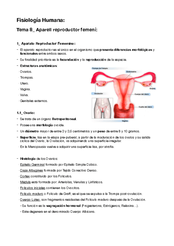 Miniatura del documento 8-Aparell-reproductor-femeni.pdf
