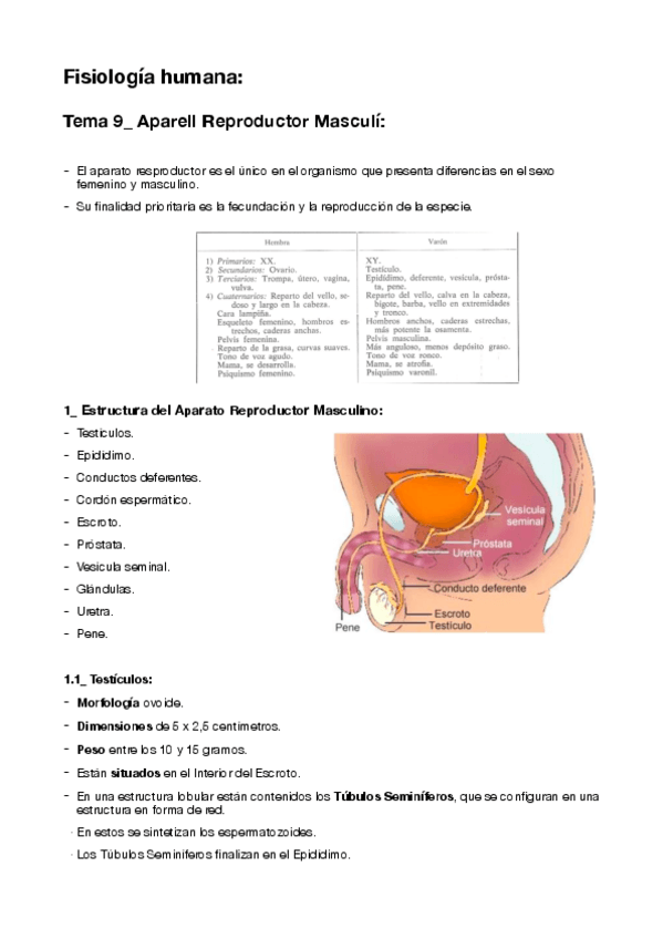 Miniatura del documento 9-Aparell-Reproductor-Masculi.pdf