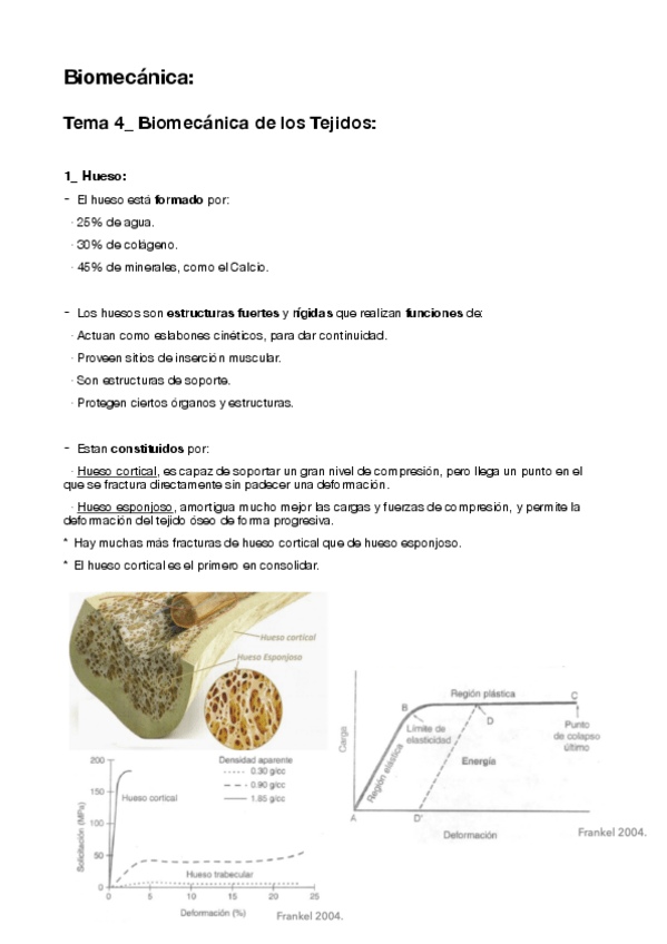 Miniatura del documento 4-Biomecanica-de-los-Tejidos.pdf