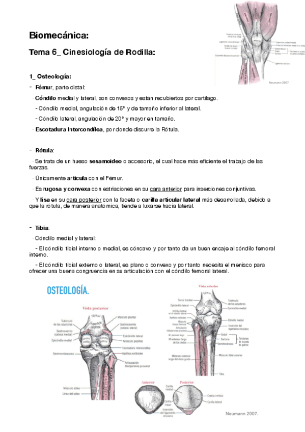 Miniatura del documento 6-Cinesiologia-de-Rodilla.pdf