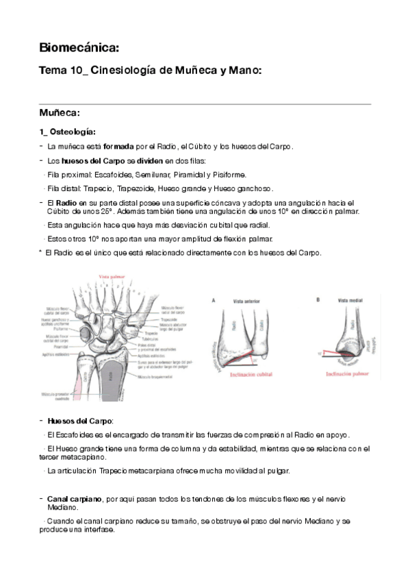 Miniatura del documento 10-Cinesiologia-de-Muneca-y-Mano.pdf