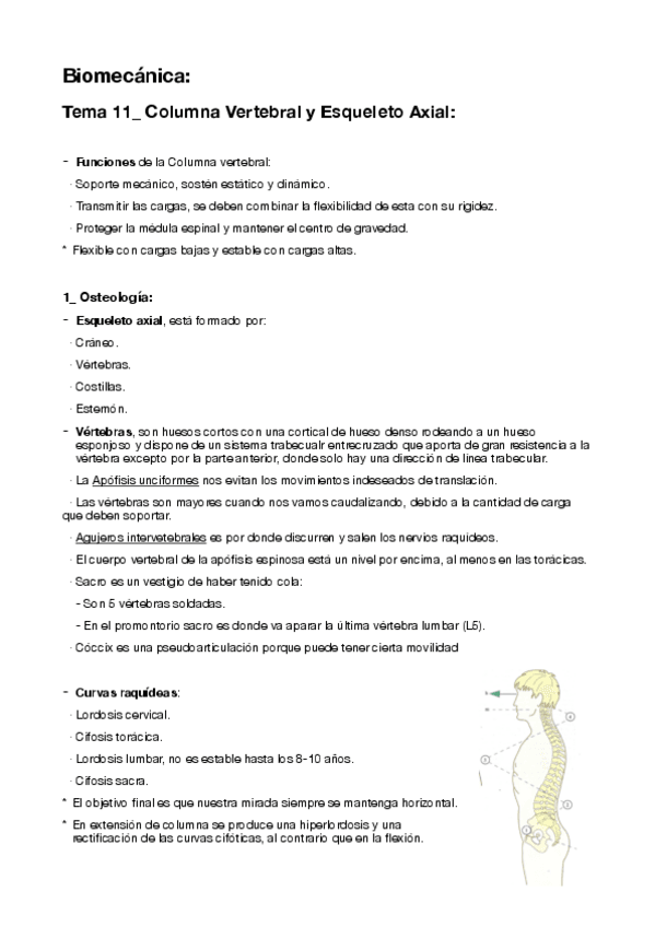 Miniatura del documento 11-Columna-Vertebral-y-Esqueleto-Axial.pdf