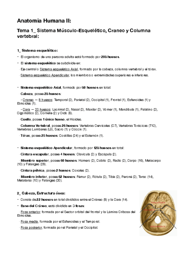 Miniatura del documento 1-Sistema-musculesqueletico.pdf